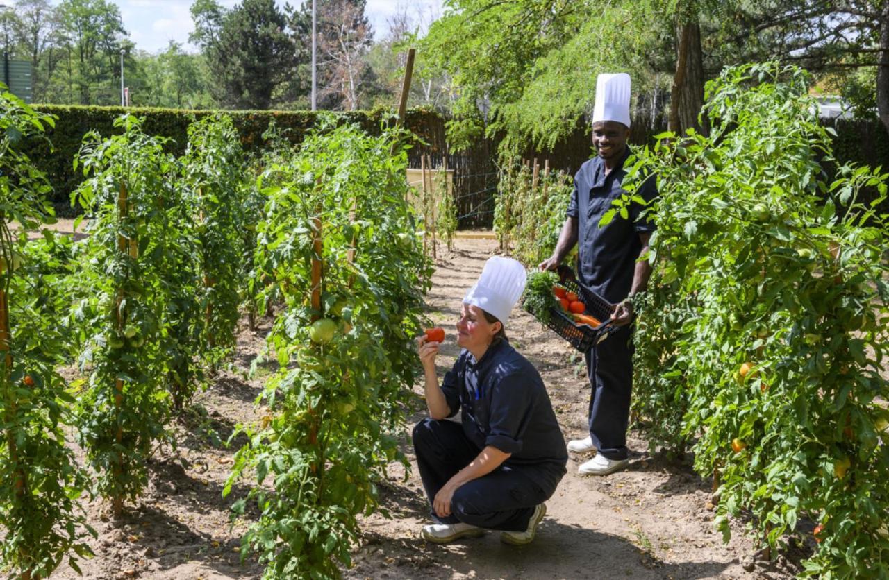 Demeures De Campagne Chemins De Sologne A Orleans 호텔 외부 사진